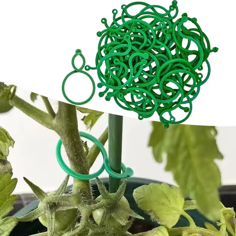 Vine Climbing Plastic - 50-400 قطعة من مشابك دعم النباتات