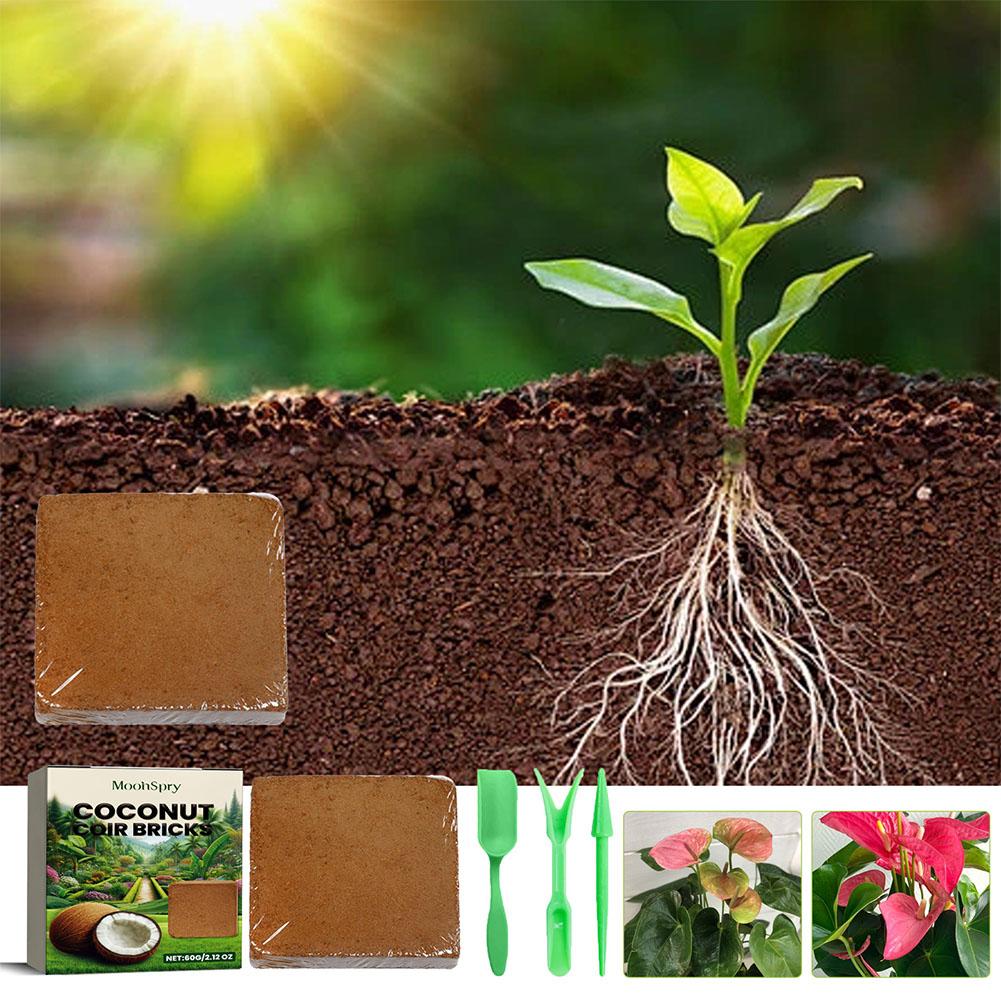 الزواحف جوز الهند التربة جوز ا - مراجعة Substrate Coconut Fiber وسعره