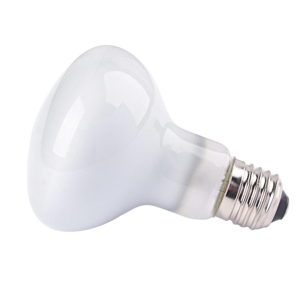 جهاز تحكم في درجة حرارة الزواح - مراجعة Basking Bulb Halogen وسعره