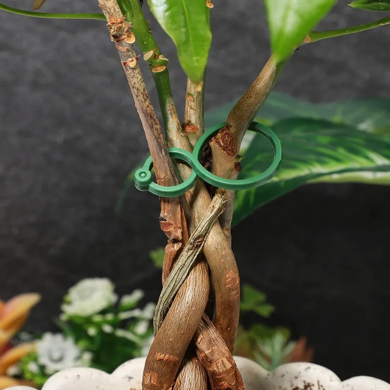 50-400 قطعة من مشابك دعم النبا - مراجعة Vine Climbing Plastic وسعره