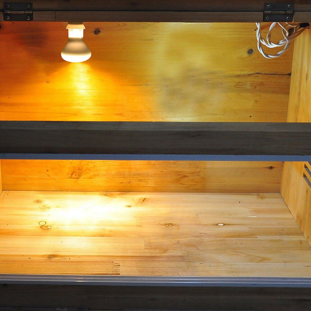 مصباح تدفئة للبرمائيات، لمبة ه - مراجعة Basking Bulb Halogen وسعره
